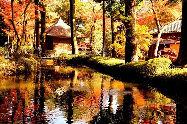 🙏 니자 관음 신고원(니자칸논신고인) 이미지 1